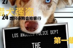 《猎犬强盗》,电影简介