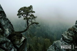 《绝处逢生》,电影简介