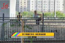 《跨越栅栏》,电影《跨越栅栏》简介