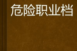 《危险工作》,揭秘高风险职业背后的故事