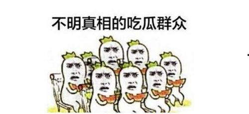 炮灰全家跟着心声吃瓜免费,免费共享欢乐时光  第2张
