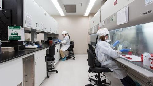 川普爆料生物实验室视频,视频揭秘惊人真相  第2张
