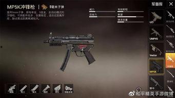 ss8手册爆料枪械视频,枪械视频深度解析  第2张