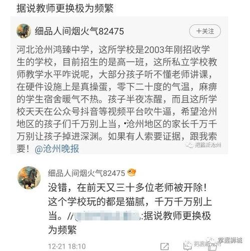 沧州中学爆料案件最新情况,案情细节及调查进展全解析