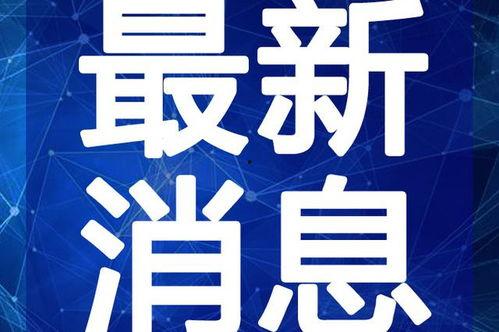 居哥最新爆料新闻视频在线观看,最新爆料新闻视频在线观看，精彩内容抢先看！