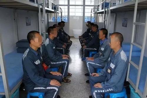罚罪最新爆料视频,剧情反转再升级，悬念重重引观众热议