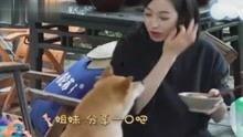 八卦爆料娱乐解说视频,娱乐解说视频背后的精彩故事 第3张 八卦爆料娱乐解说视频,娱乐解说视频背后的精彩故事 第3张
