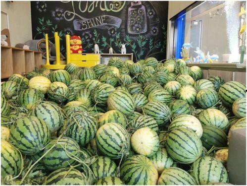 吃瓜免费观看,揭秘热门事件背后的真相  第3张