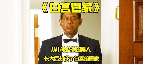 白宫管家在线观看,揭秘白宫幕后风云  第3张