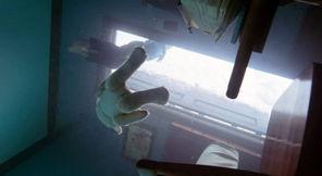 约伯记电影在线观看  第2张