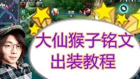 张大仙爆料猴子视频,猴子视频背后的惊人真相  第1张